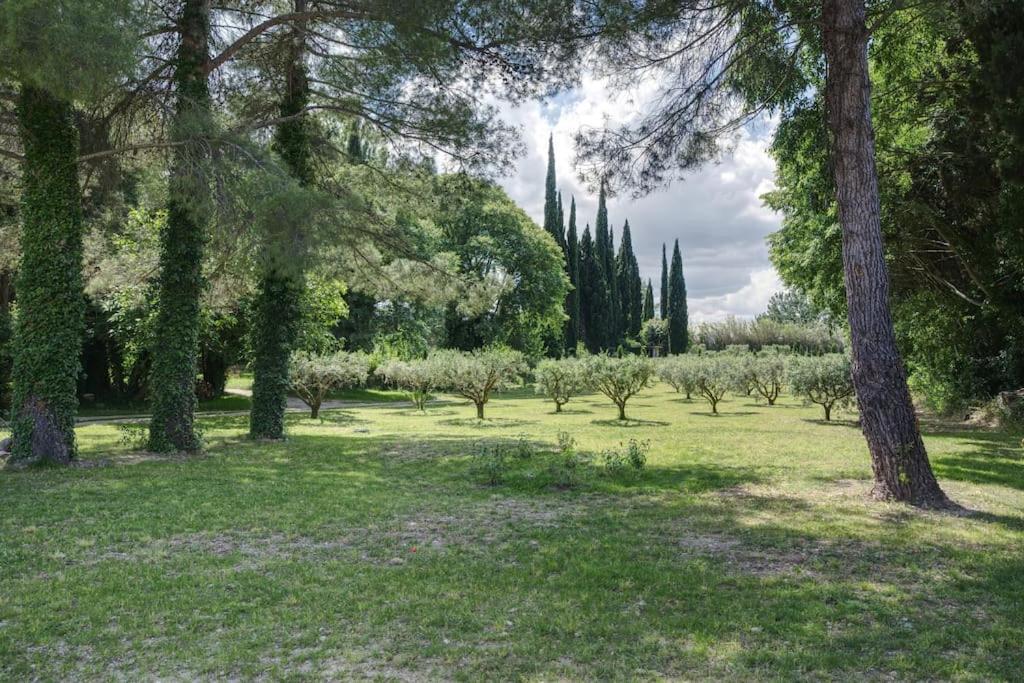 Mas Du Grand Chene Villa Saint-Rémy-de-Provence Exterior photo